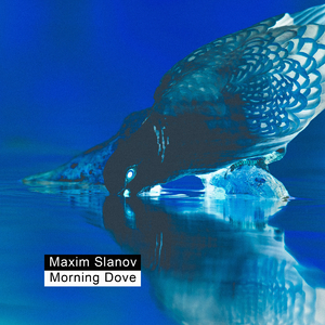 朝国75岁老女人-级性交配一级毛片
